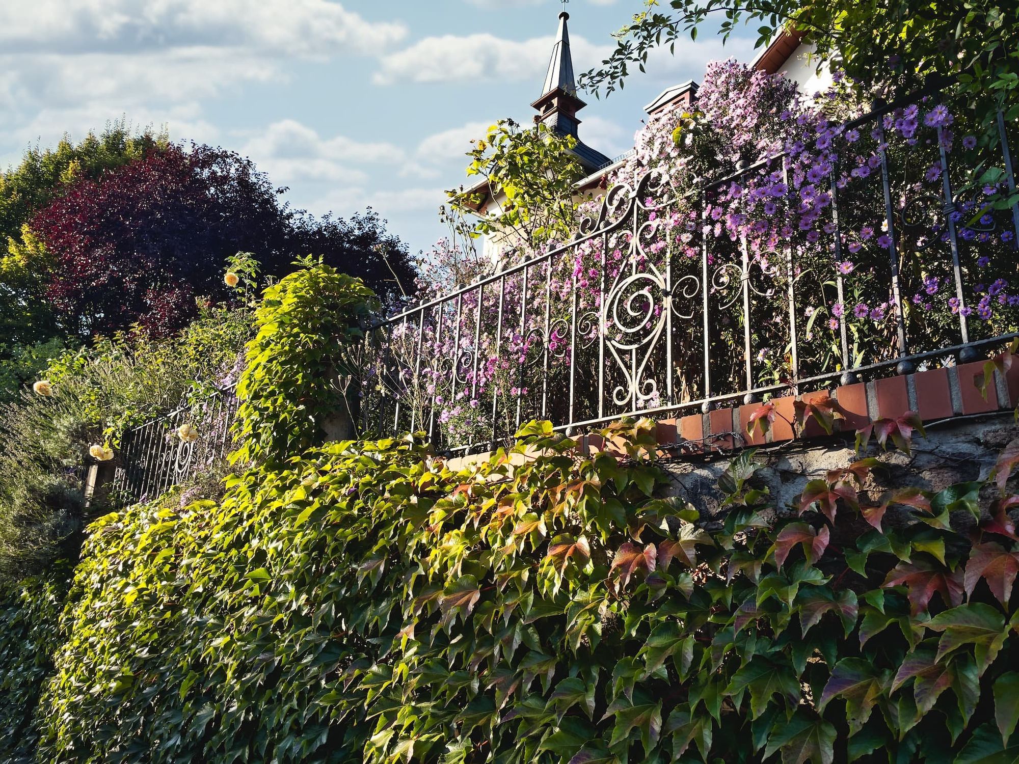 Beratung für einen naturnahen Garten durch Vimaana Garten bei Dresden