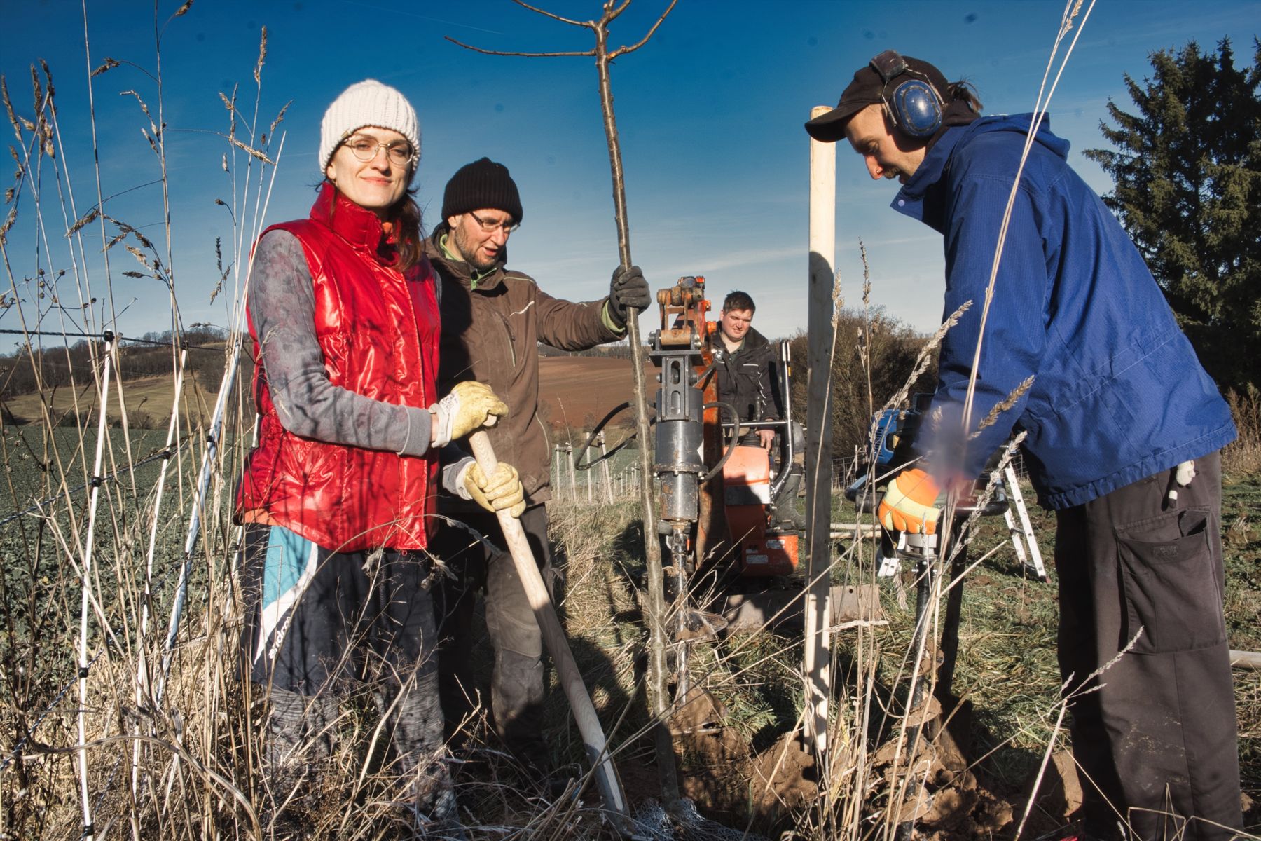 Vimaana-Team pflanzt eine Streuobstwiese als Ausgleichsfläche bei Dresden