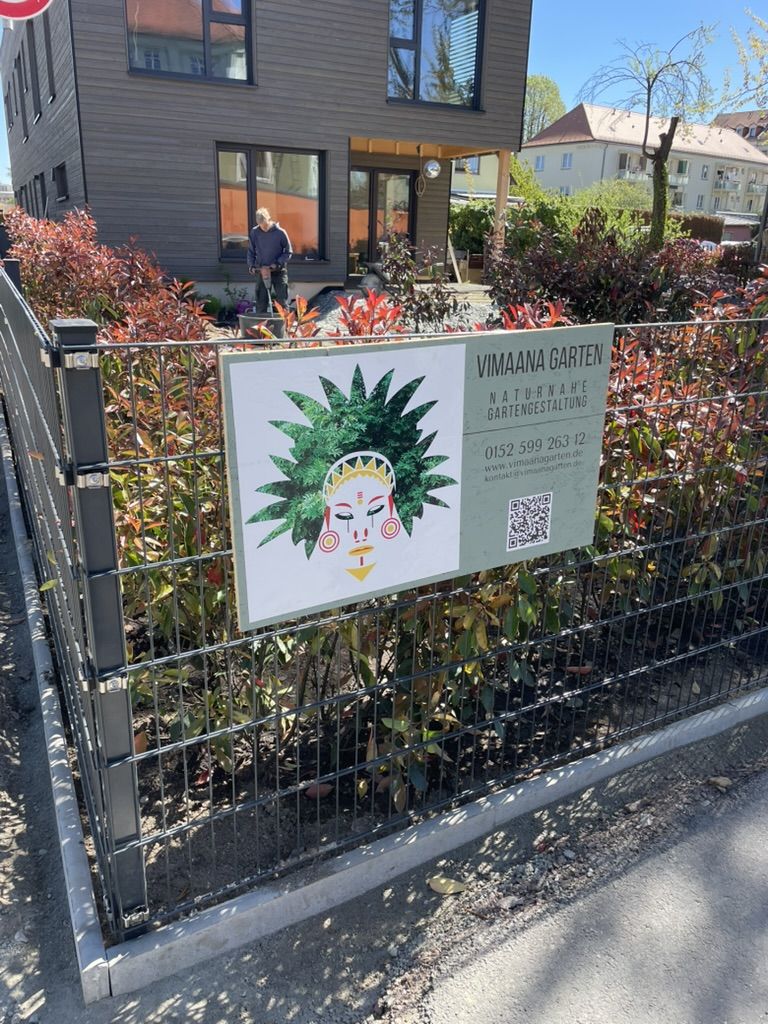 Gepflegter Vorgarten mit Hecke, betreut von Vimaana Garten bei Dresden