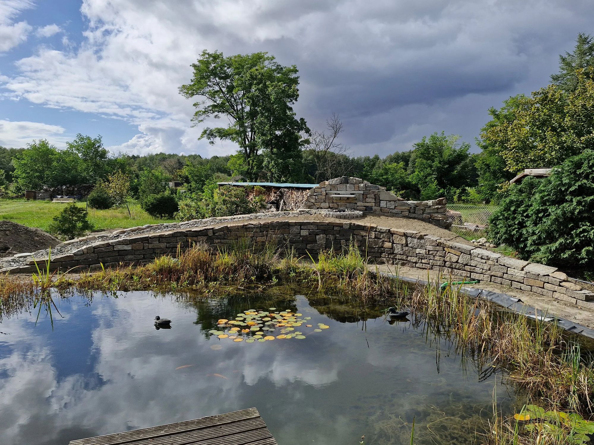Naturnaher Schwimmteich mit Filterzone in einem von Vimaana Garten gestalteten Garten bei Dresden